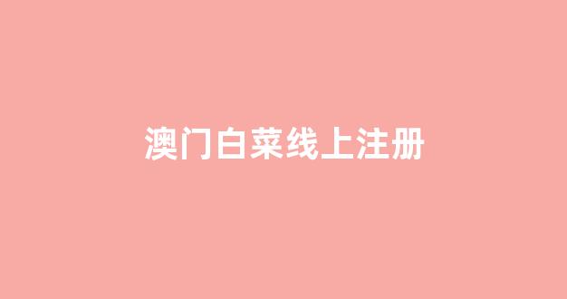 白菜广告投放平台